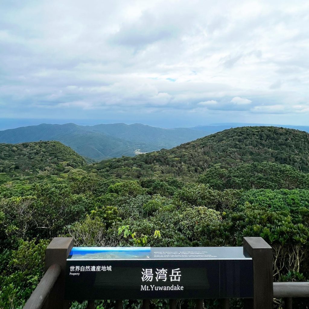 大和村湯湾岳