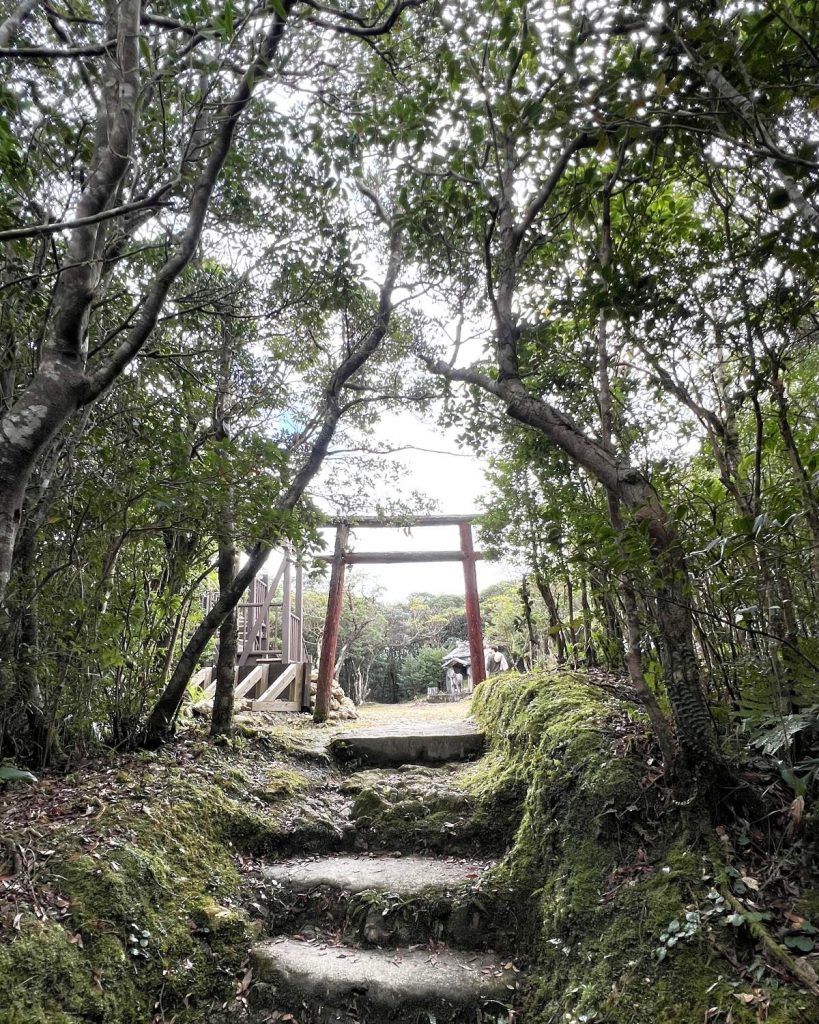 大和村湯湾岳