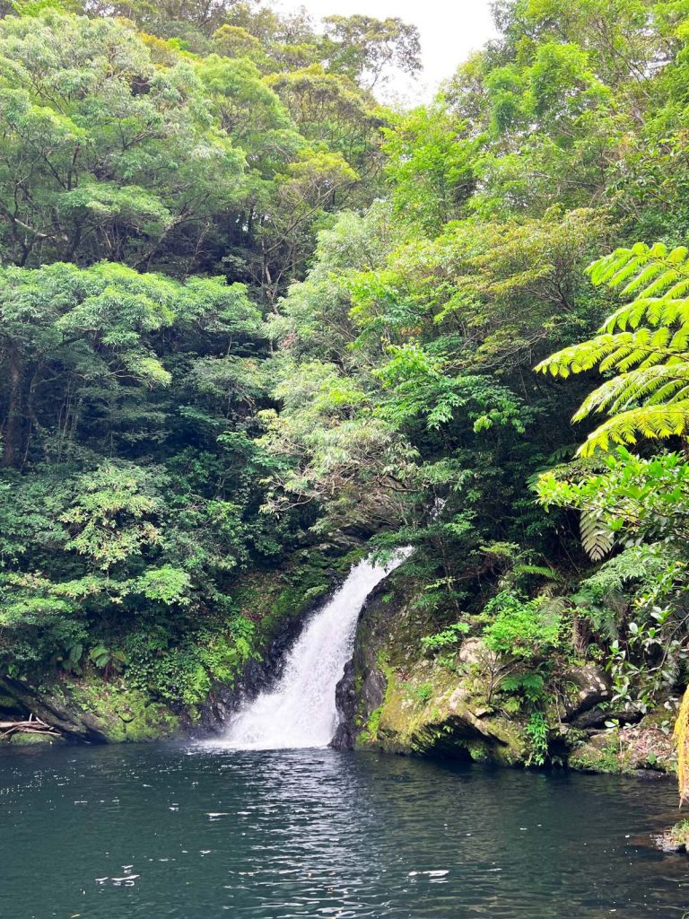 大和村マテリヤの滝