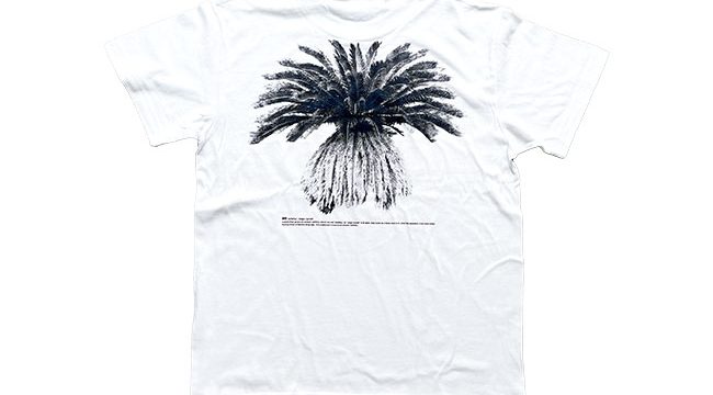 AMAMI DESIGN