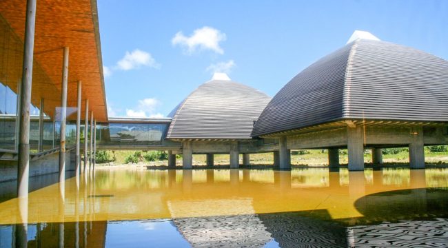 鹿児島県奄美パーク 写真