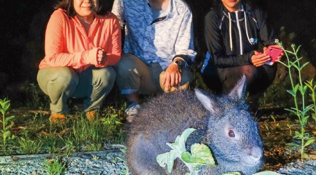 奄美ナイトツアーサービス 写真
