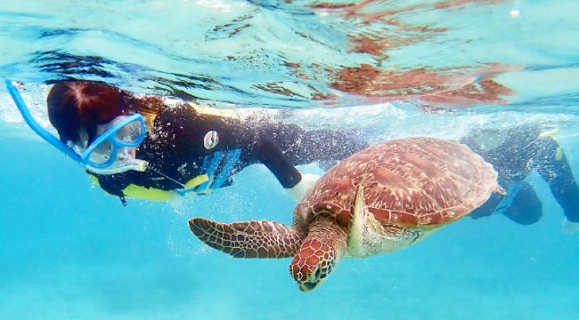 OCEANZ -オーシャンズ- 写真