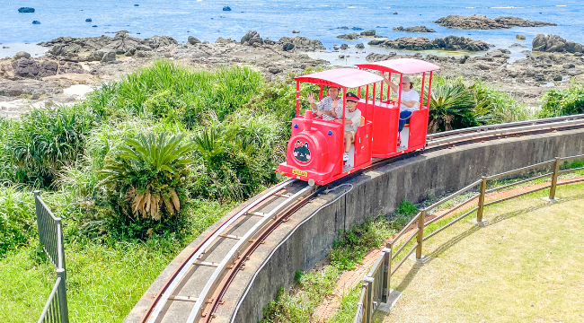 あやまる岬観光公園 写真