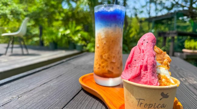あまみん＆Tropica Amami 写真